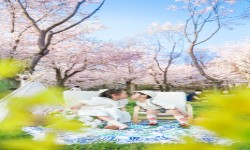 [일반/미래]-아이들과 호수공원에서 벚꽃놀이