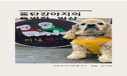 [일반/미래]-동탄 강아지의 일상